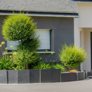 Petit jardin privé paysagé décoratif devant une maison moderne